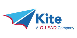 new-kite